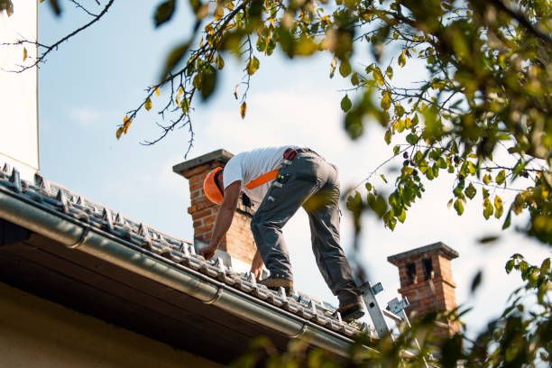 Quick and Trustworthy Emergency Roof Repair Services in Timpson, TX